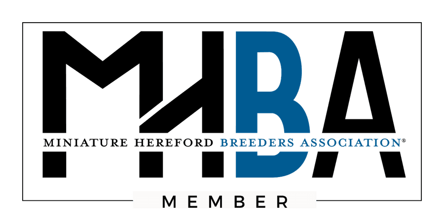 Miniature Hereford Breeders Association member